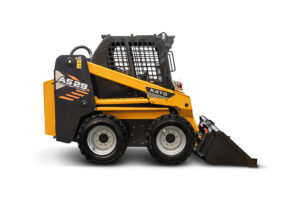 AS29R